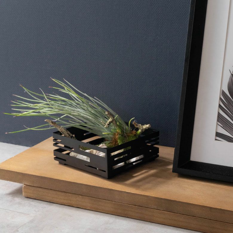 キャンドルやグリーンを入れたアレンジも素敵