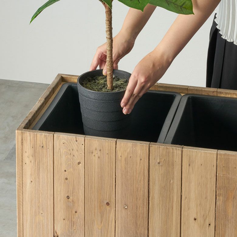 お手持ちの観葉植物を、鉢ごと入れるだけ