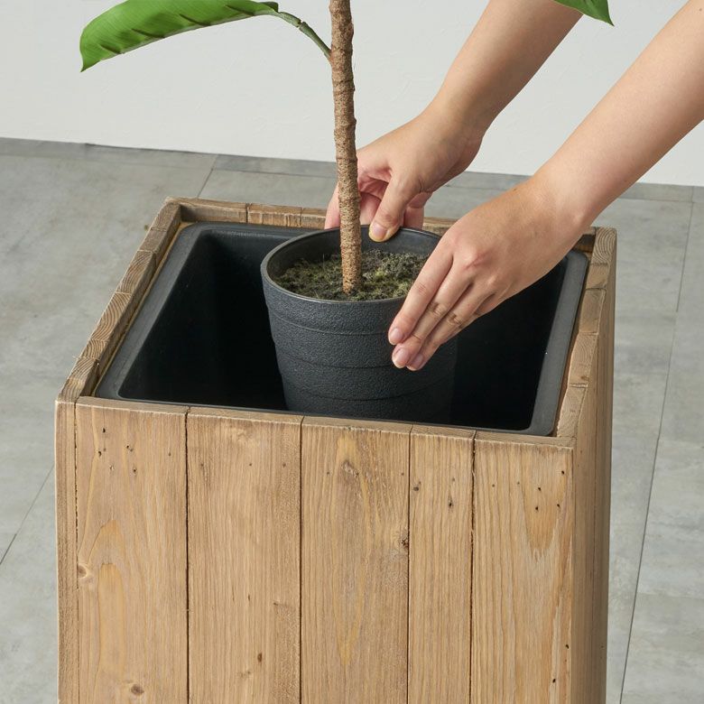 お手持ちの観葉植物を、鉢ごと入れるだけ